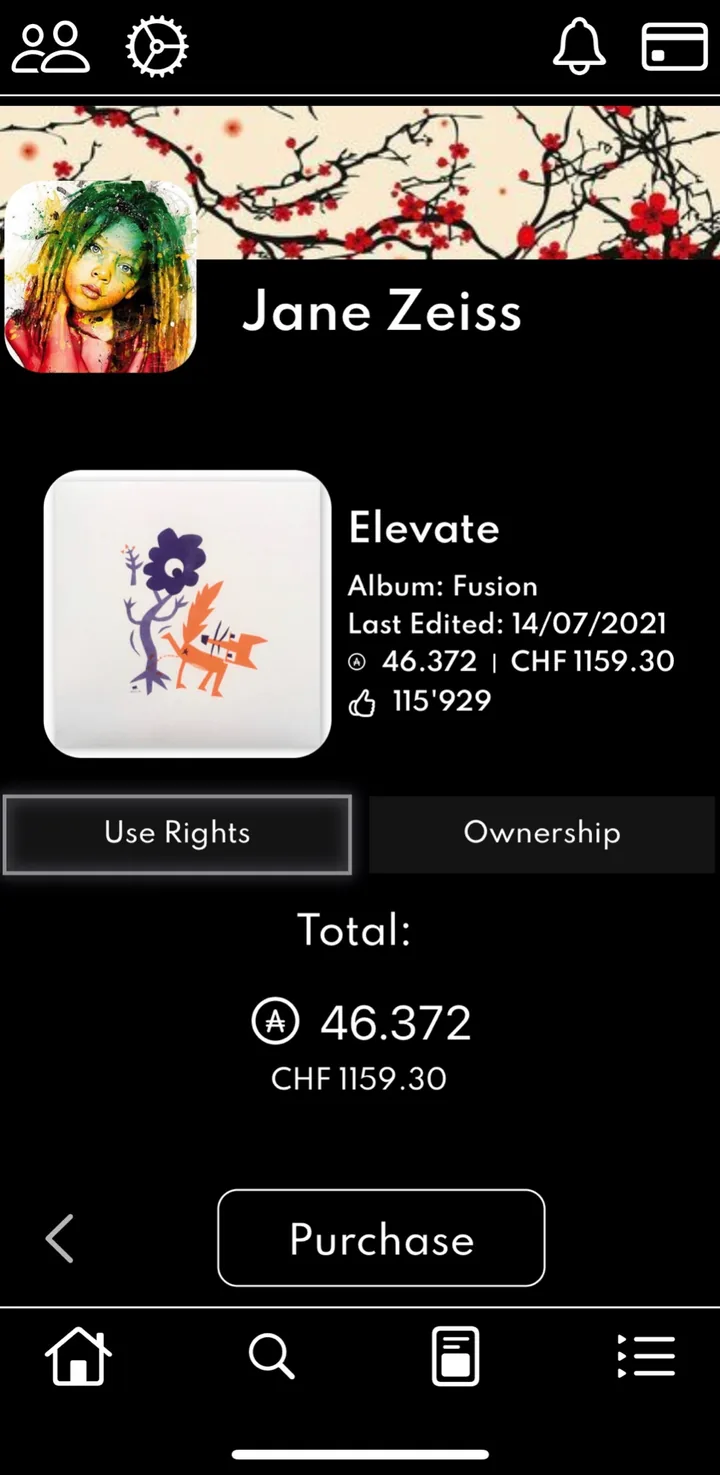 A purchase screen for usage and ownership rights in the aMUZE concept